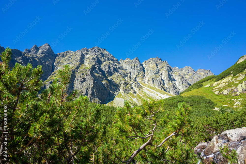 Mengusovska Valley. High Tatra Mountains. Slovakia.
