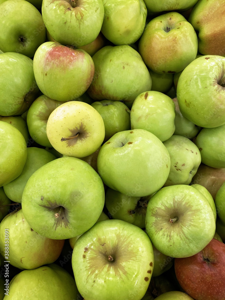 Autumn harvest apples background. Green apples grown in the garden. Vertical shot Autumn harvest apples background. Green apples grown in the garden. Vertical shot