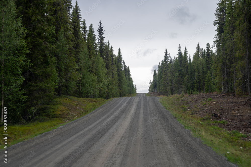 Dirtroad through the forest in Sweden Dirtroad through the forest in Sweden