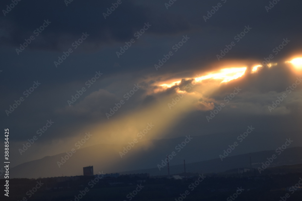 Obraz premium plant at night