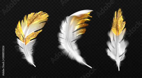 White feathers with gold glitter on edges, boho style birds plumage or hackles with golden sparks, trendy design elements isolated on black background, Realistic 3d vector illustration, icons set