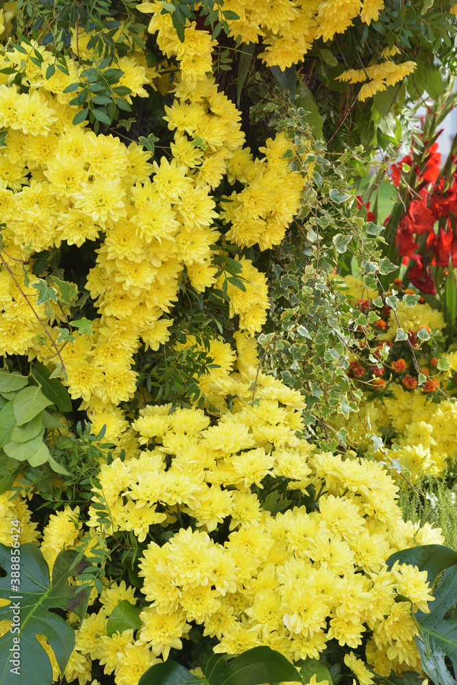 Flower arrangement with chrysanthemums.