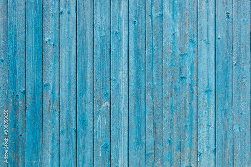 Wood background. Old blue vertical boards