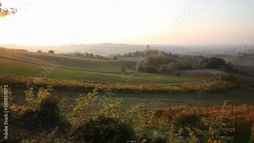 Vineyards in the Tortona hills at sunset during the autumn season