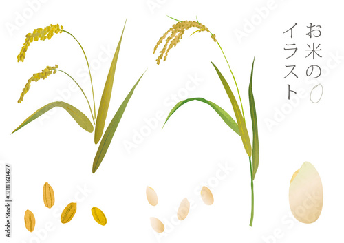 お米のいろんな素材イラスト