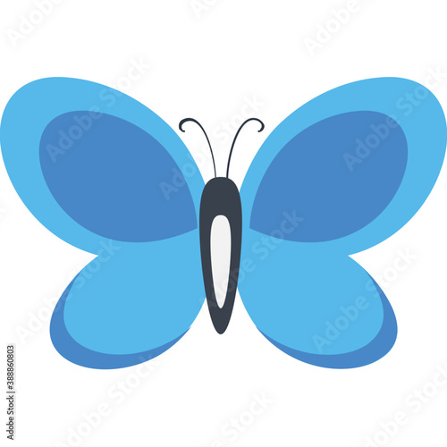 
Finest design icon for blue lepidoptera butterfly 
