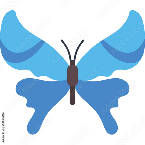 
Finest design icon for blue lepidoptera butterfly 
