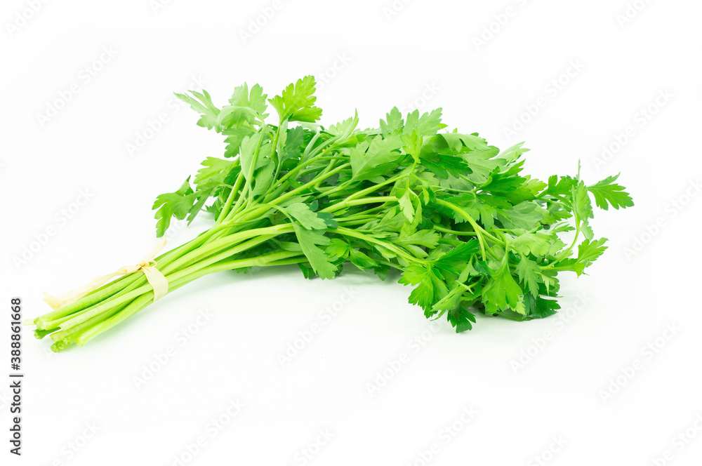 Fresh parsley bunch isolated on white background, healthy food, green plants (Petroselinum crispum) Fresh parsley bunch isolated on white background, healthy food, green plants (Petroselinum crispum)