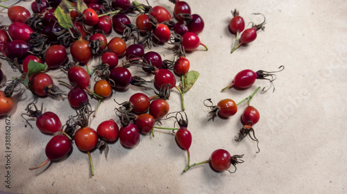 Obraz na płótnie photo of rose hips. red rose hips scattered on craft paper w salonie
