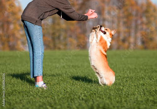 parent and child playing in park