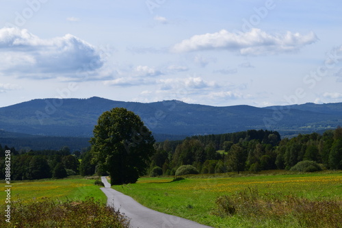 mountain road in the mountains
