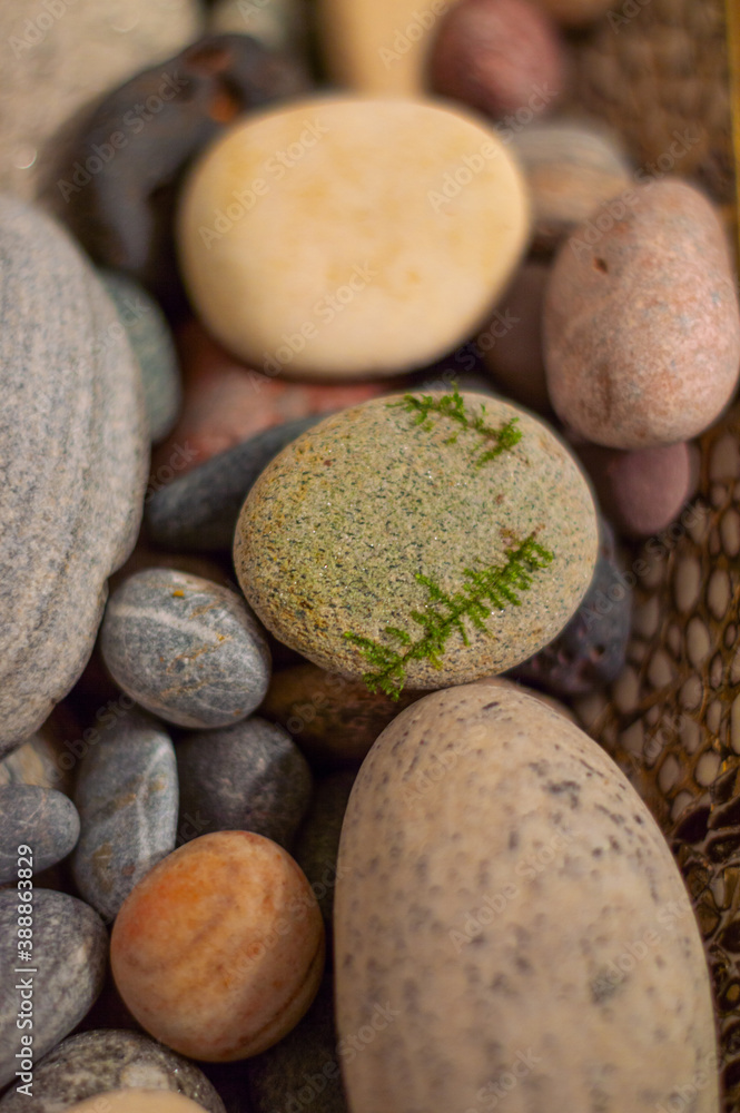 image of a set of stones from the sea and river of different colors. Stones wallpaper. Relax image of a set of stones from the sea and river of different colors. Stones wallpaper. Relax