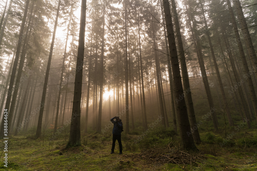 person in the forest person in the forest
