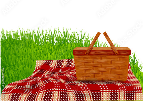 picnic on green grass