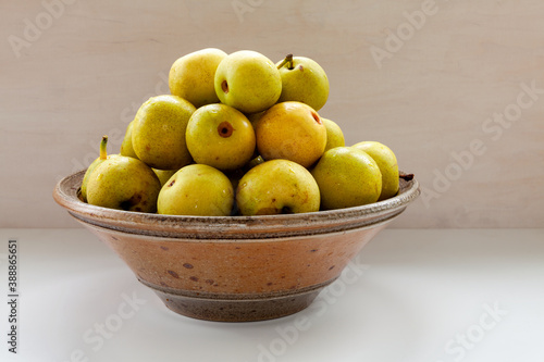 Bowl with Asian Pear Shinseiki (Pyrus pyrifolia) pile. Fresh, tasty fruits from own garden.