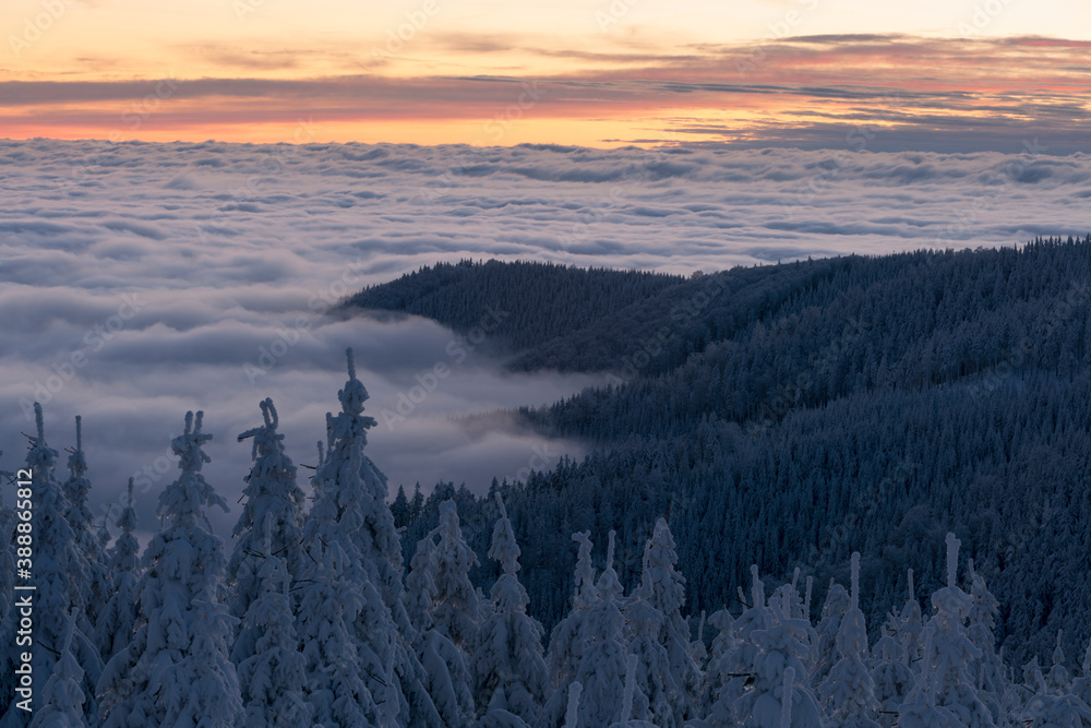 winter landscape above the clouds