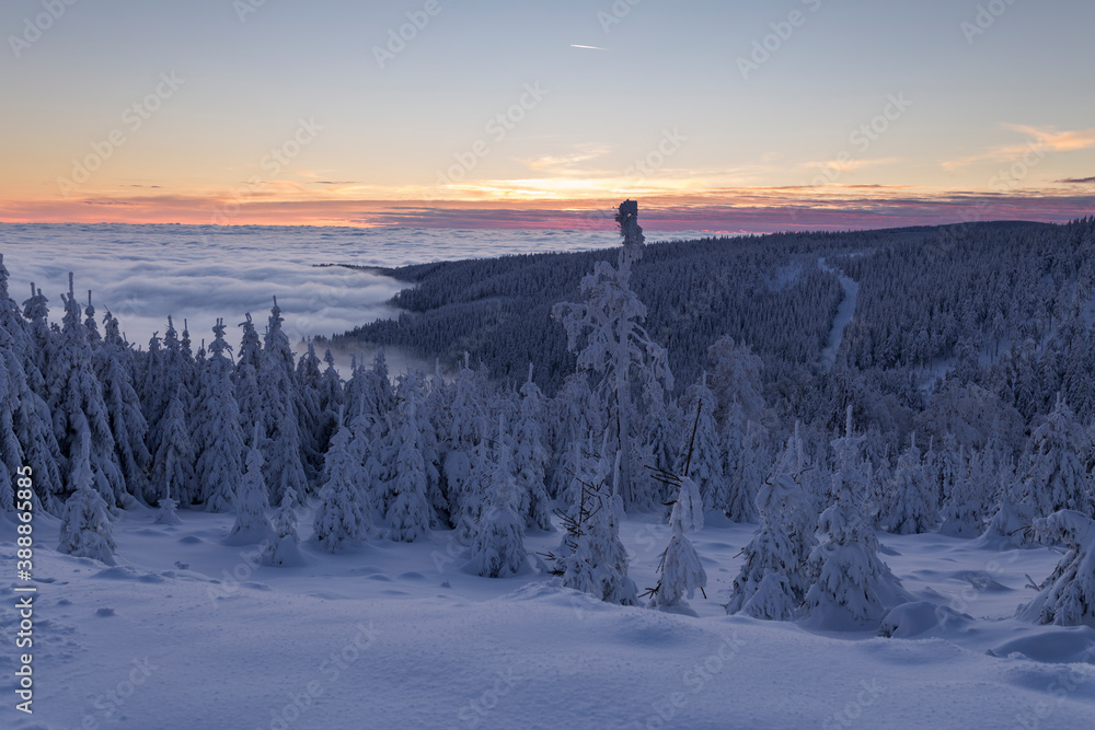 winter landscape above the clouds winter landscape above the clouds