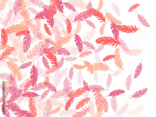 Falling feather elements soft vector design.