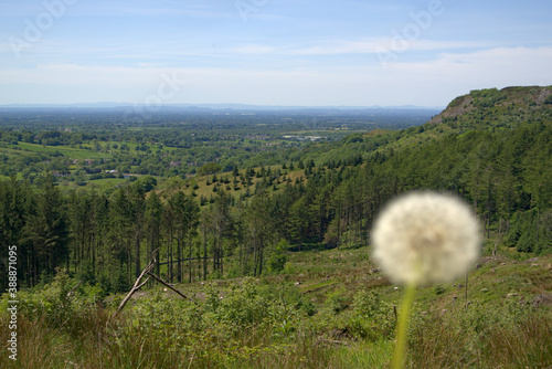 Obraz na płótnie The stunning green landscape found in Britain with a dandelion in front of it and the focus on the background w salonie