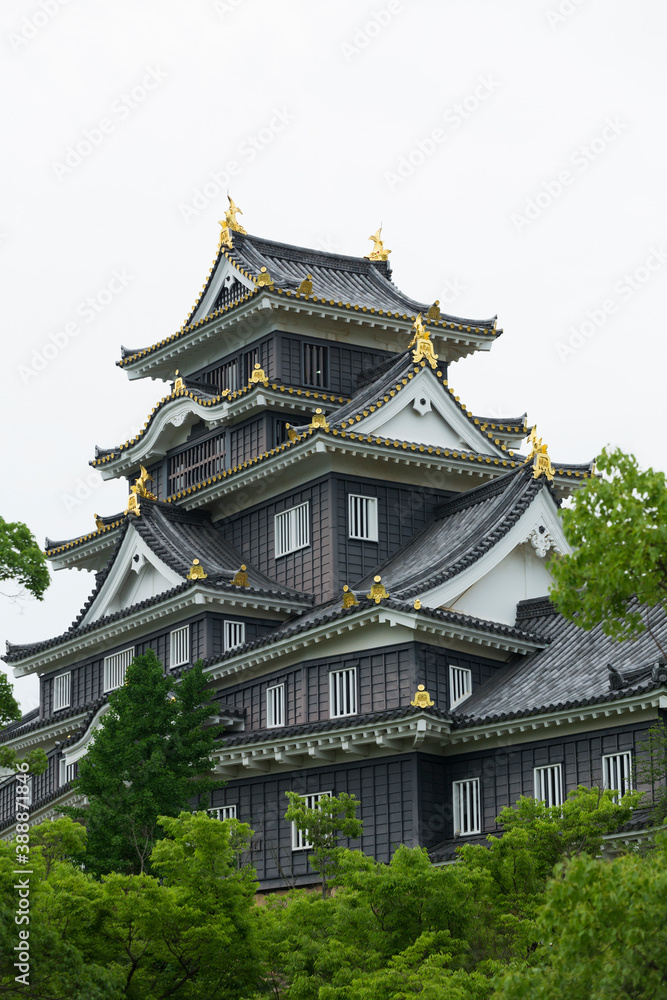 岡山城の天守閣