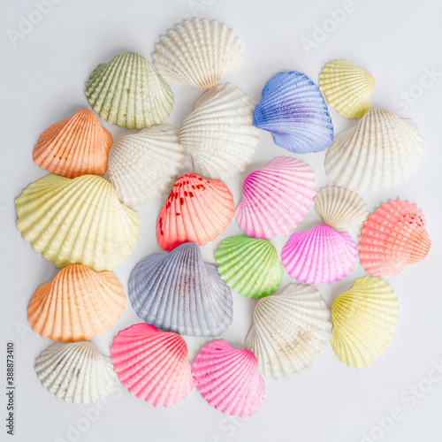 Colorful seashells