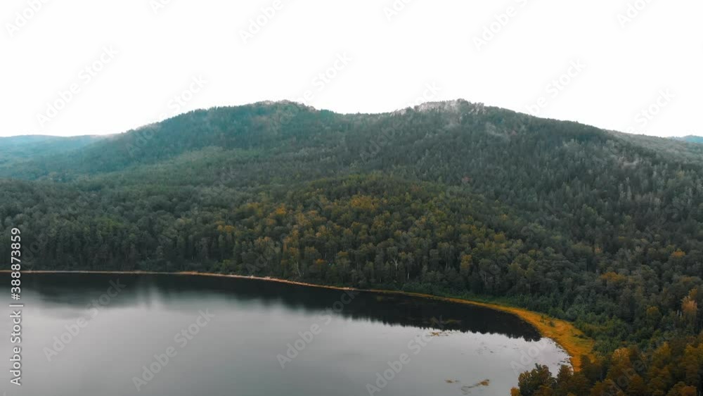 Landscape from dense coniferous forest and pond Landscape from dense coniferous forest and pond