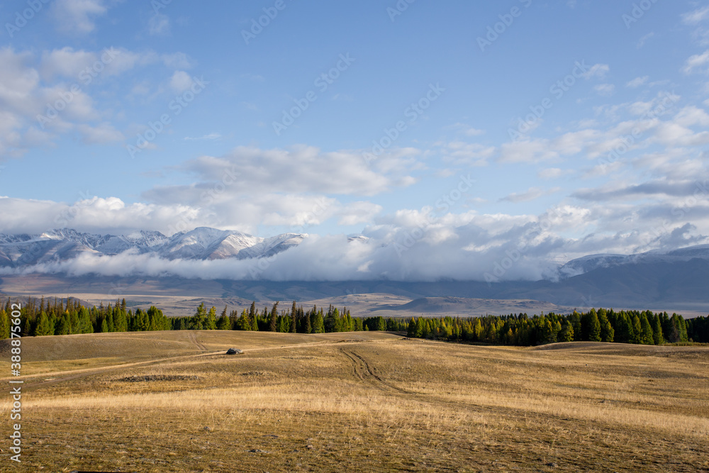 Steppe, forest and mountains. Beautiful landscape of mountains that are hidden behind the clouds. Clear good weather Steppe, forest and mountains. Beautiful landscape of mountains that are hidden behind the clouds. Clear good weather