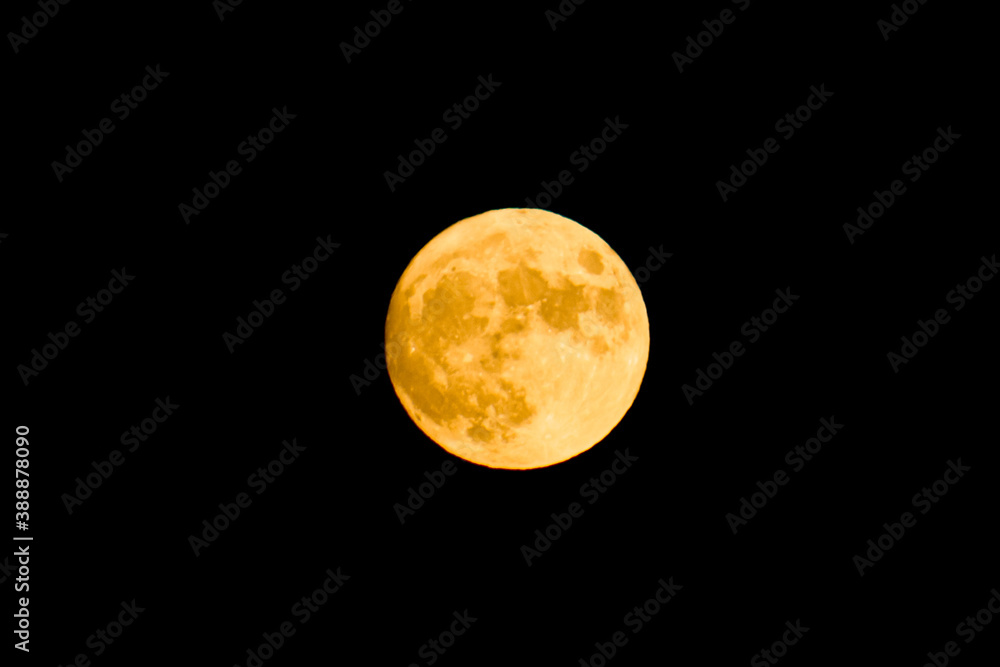 Fototapeta premium moon