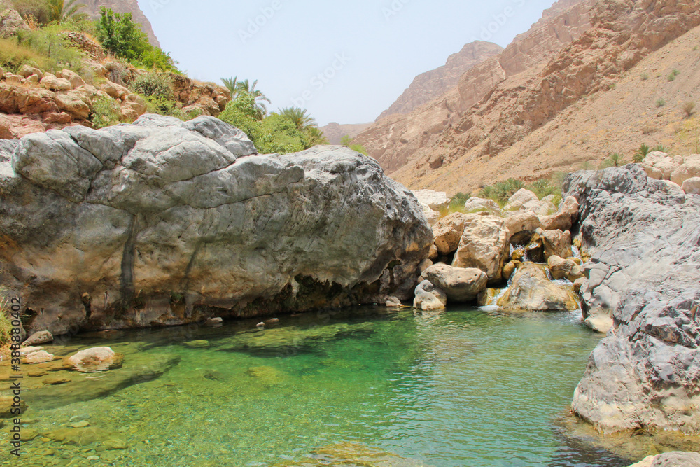 Waterhole, Middle Eastern Desert Oasis, Muscat, Oman. No people