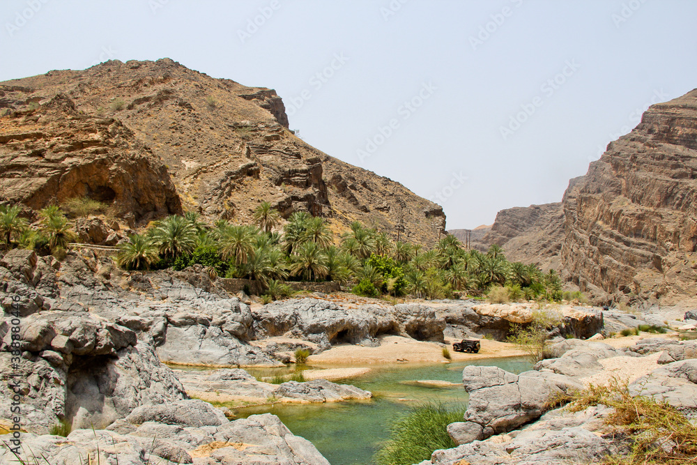 Waterhole Middle Eastern desert Oasis, Muscat, Oman. No people