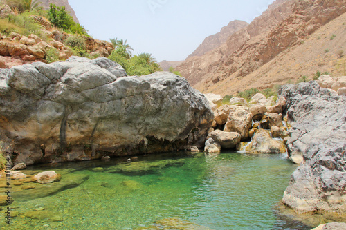 Waterhole, Middle Eastern Desert Oasis, Muscat, Oman. No people © Kate