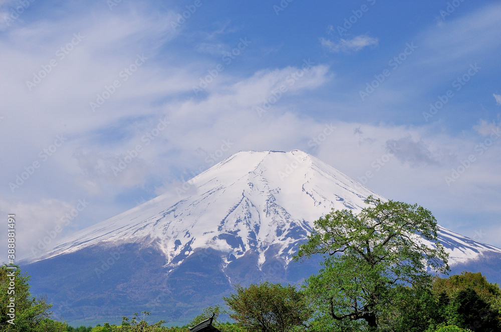 富士山 富士山