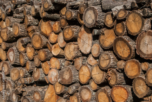 Old dry firewood stacked closeup as wooden background