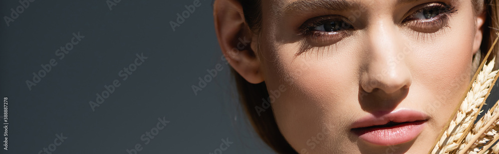 Naklejka premium young woman in beige blazer looking at camera near wheat spikelets on dark grey