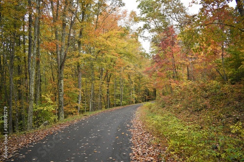 Road through Autumn Colors in West Virginia