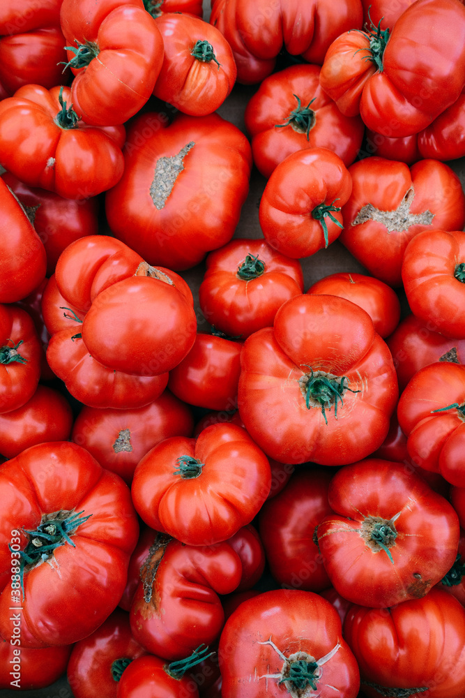 Colorful Tomatoes Colorful Tomatoes