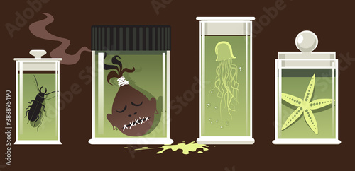 Specimen jars with natural science objects preserved, EPS 8 vector illustration, no transparencies