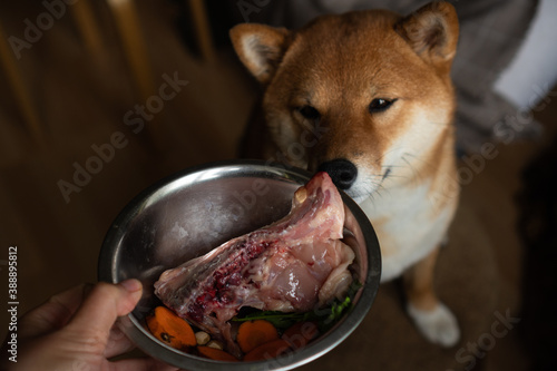 Ration of a raw eating dog (shiba inu) - raw chicken, carrot, parsley, B group vitamins and salmon oil photo