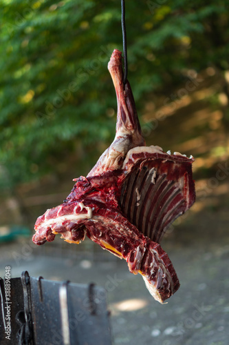 Raw lamb meat drying outdoors photo