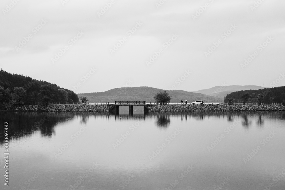 Trees and bridge reflection on water black and white
