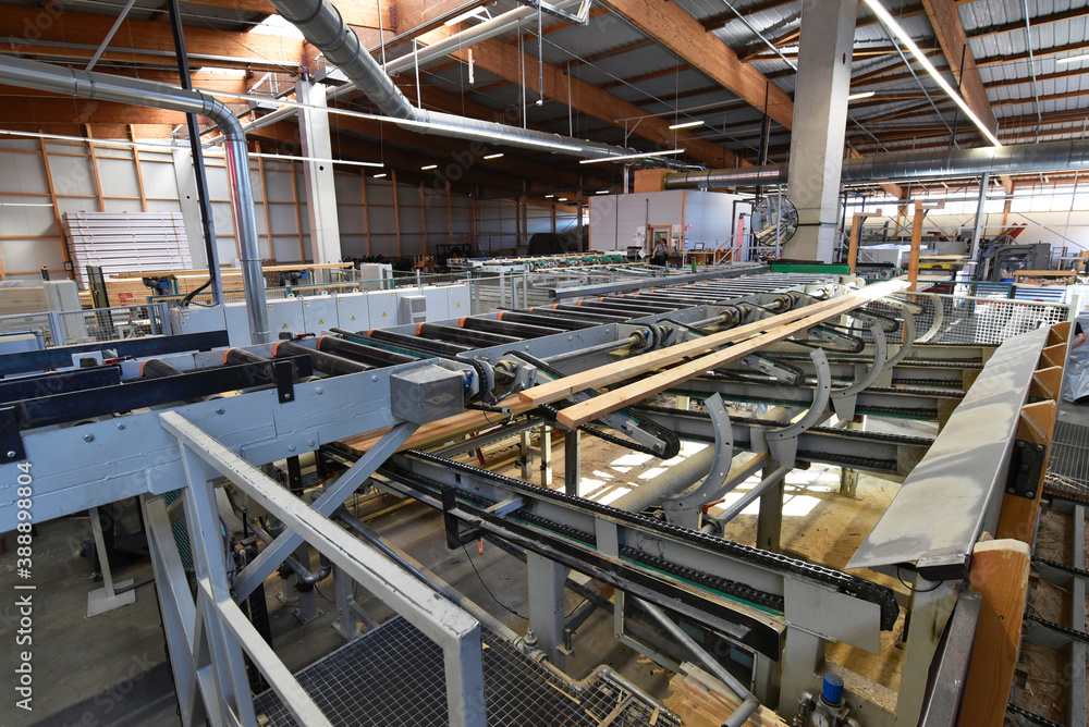 Planks being processed in lumberyard Planks being processed in lumberyard
