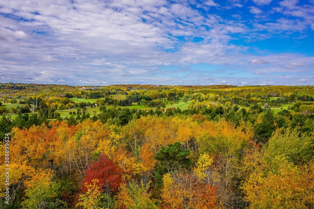 Fototapeta premium Colorful Autumn trees overlooking golf course in Duluth Minnesota
