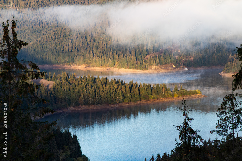 Fototapeta premium aerial view of mountain lake surrounded by fir trees