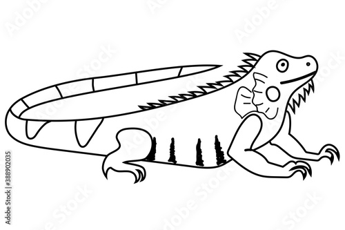 Illustration of iguana for coloring book. Activity for children