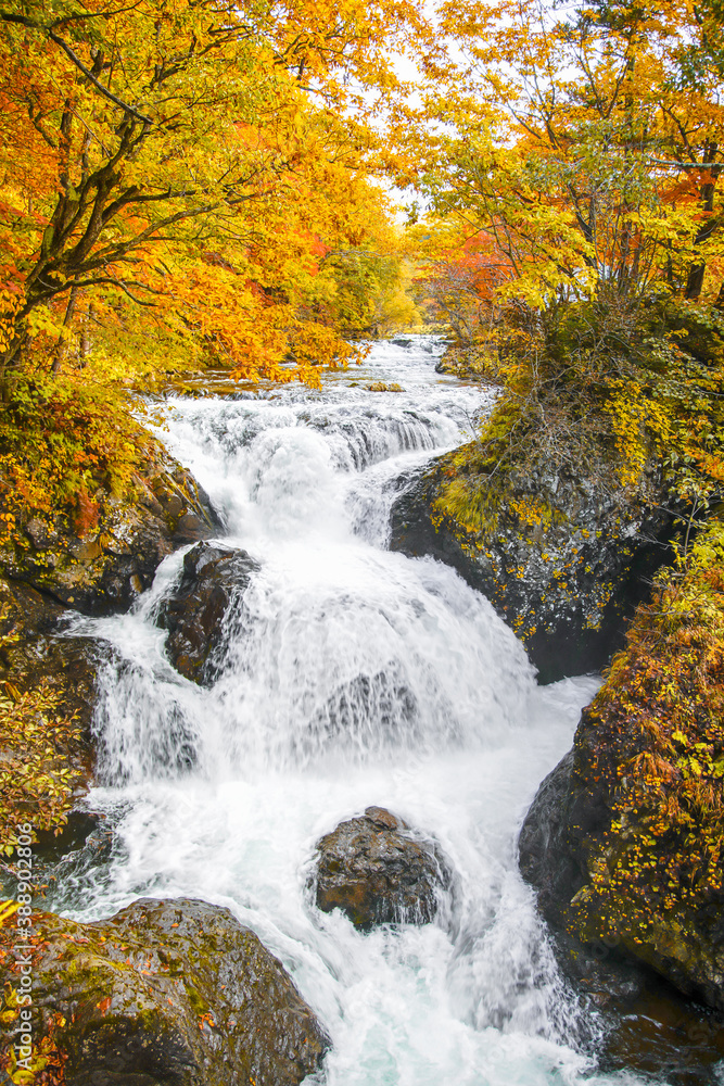 秋、北海道伊達市大滝区にある「三階滝公園」のたきみ橋から見る、紅葉真っ盛りの三階滝	