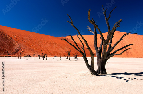 Deadvlei is located in Namib Naukluft Park in Namibia