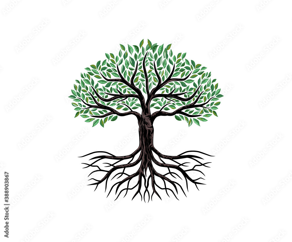 tree logo design with beautiful roots and leaves