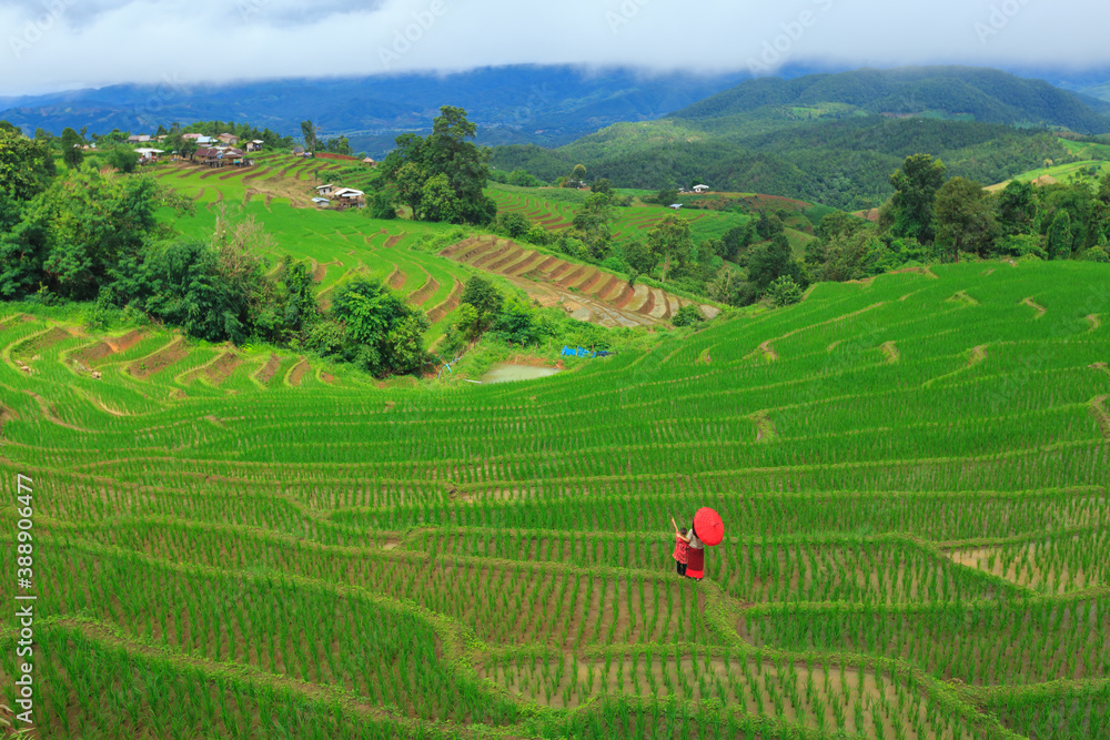 Mother and son relaxing in green rice terraces on holiday at pa bong paing village,  Mae-Jam Chiang mai, Thailand
