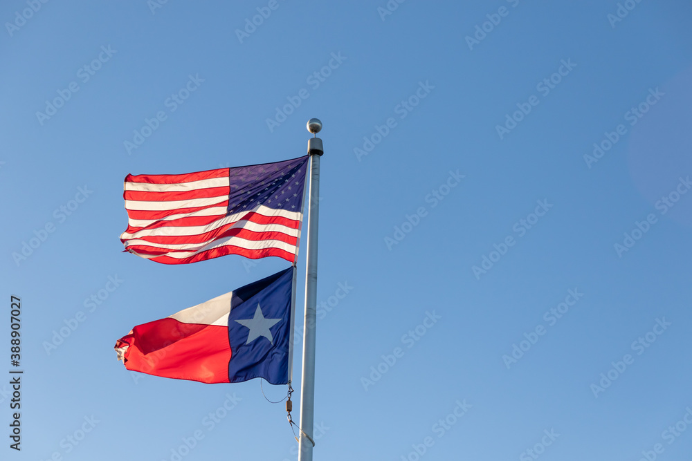 United States of America and Texas flag