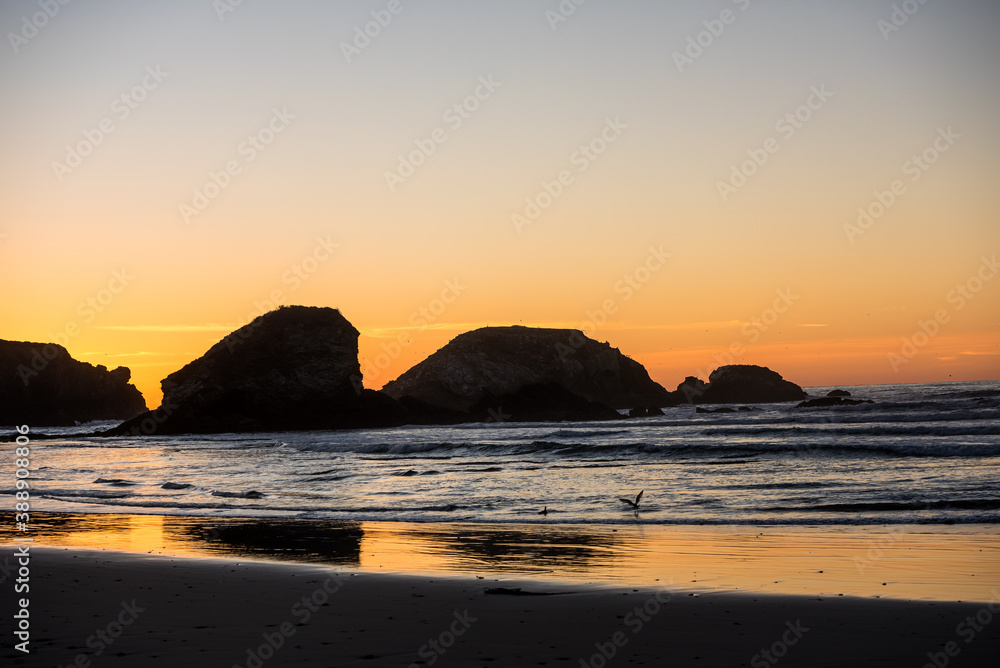 Birds after sunset in the famous Sand Dollar Beach. California, USA.